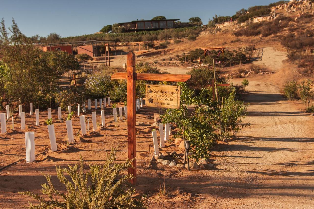 Brisa Del Valle Hotel Boutique Valle de Guadalupe Exterior photo